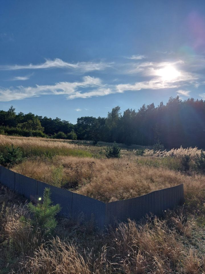 Działka rolna Izabelin. Zdjęcie 3