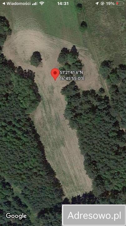 Działka siedliskowa Mikorzyce. Zdjęcie 3