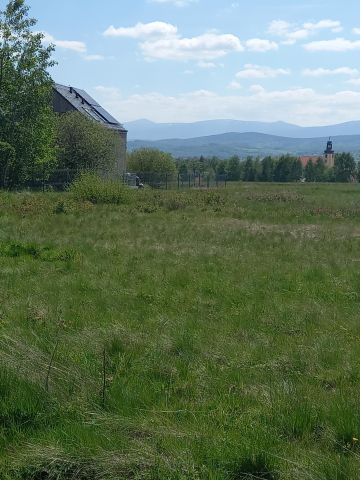 Działka rolno-budowlana Grudza. Zdjęcie 1