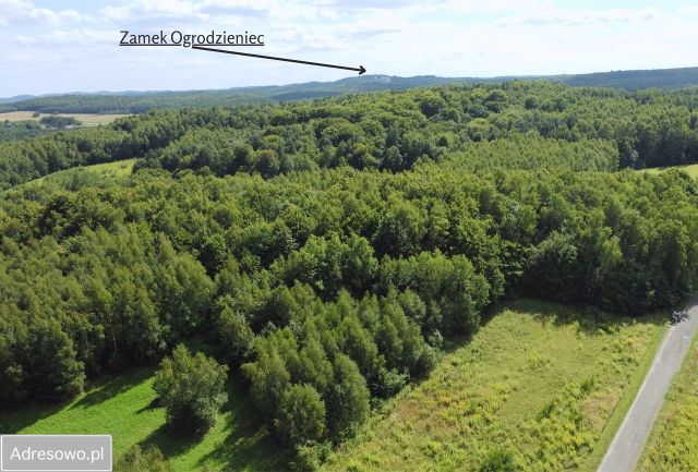 Działka budowlana Zawiercie Karlin, ul. Biały Kamień. Zdjęcie 1