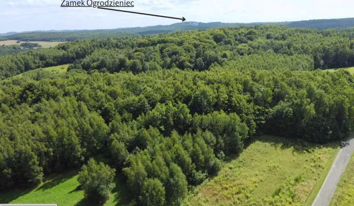 Działka budowlana Zawiercie Karlin, ul. Biały Kamień