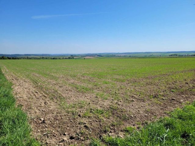 Działka rolna Ulina Wielka. Zdjęcie 1