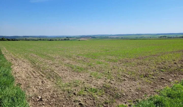 Działka rolna Ulina Wielka