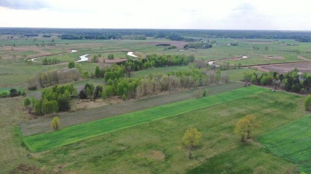 Działka rolno-budowlana Cieciory. Zdjęcie 4