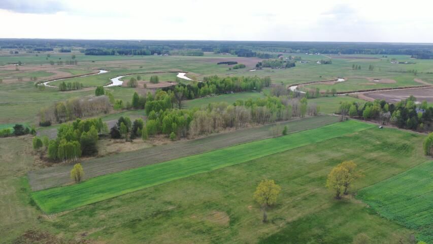 Działka rolno-budowlana Cieciory. Zdjęcie 4