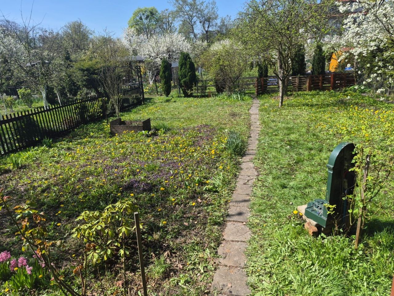 Działka rod Racibórz. Zdjęcie 2