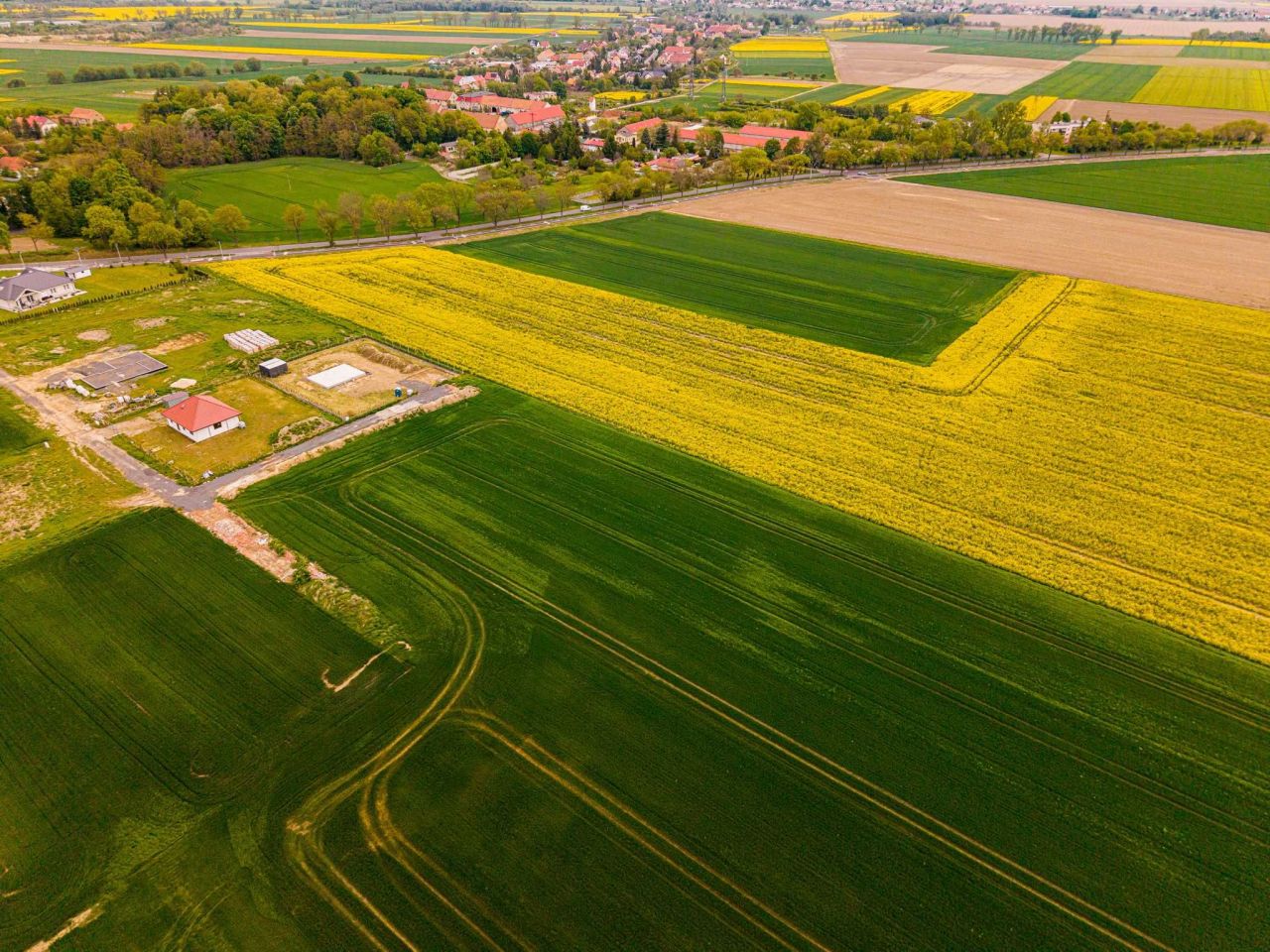 Działka rolno-budowlana Piotrowice. Zdjęcie 6