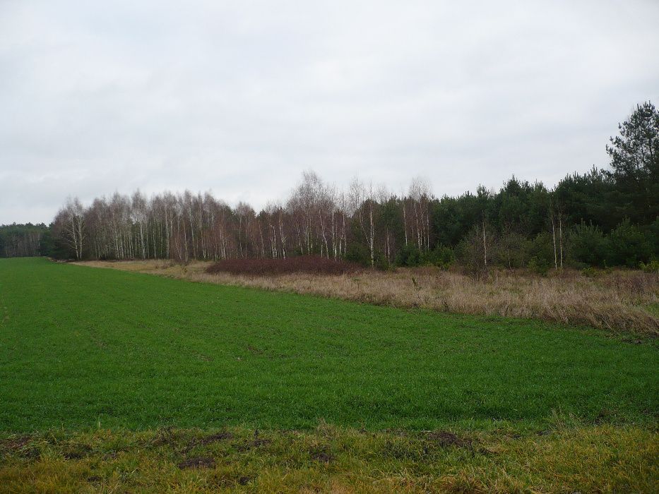 Działka rekreacyjna Łask. Zdjęcie 7