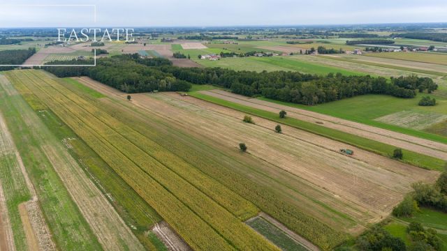 Działka rolno-budowlana Gągolin Północny. Zdjęcie 9