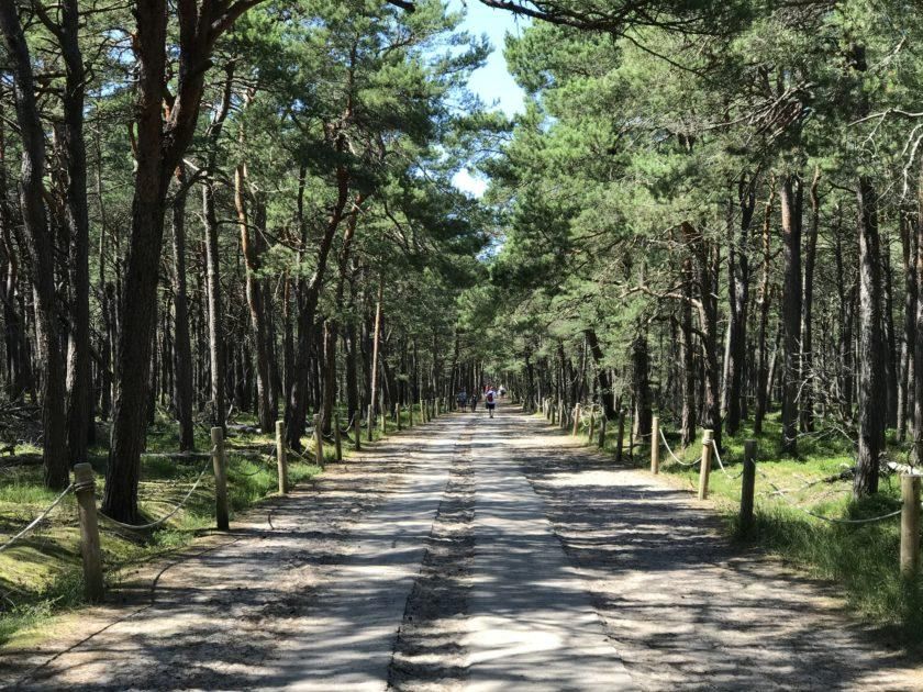 Działka budowlana Łokciowe. Zdjęcie 6