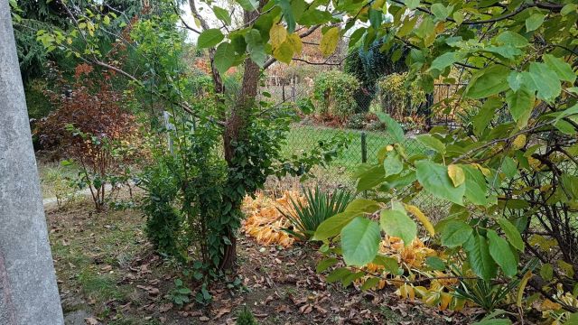 Działka rekreacyjna Płock, ul. Dobrzyńska. Zdjęcie 1