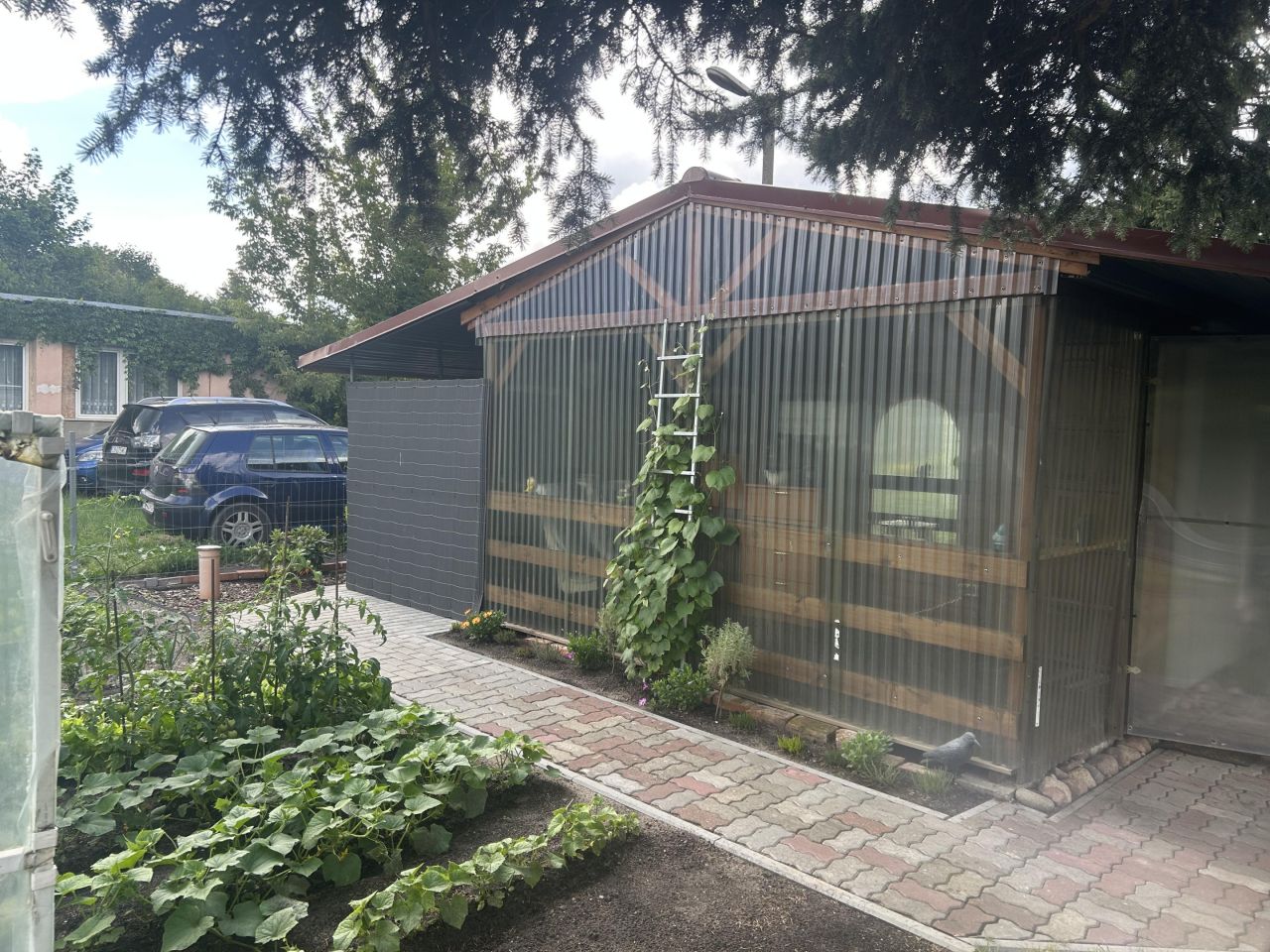 Działka rod Bydgoszcz Czyżkówko. Zdjęcie 5