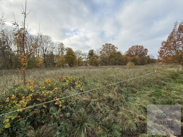 Działka budowlana Nowe Warpno, ul. Wojska Polskiego. Zdjęcie 2