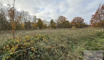 Działka budowlana Nowe Warpno, ul. Wojska Polskiego
