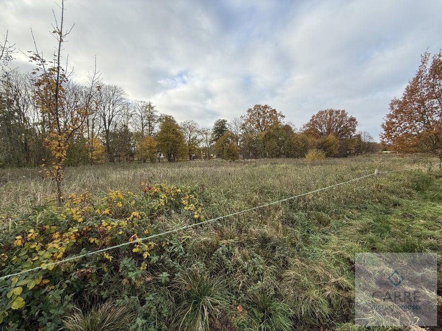 Działka budowlana Nowe Warpno, ul. Wojska Polskiego. Zdjęcie 2