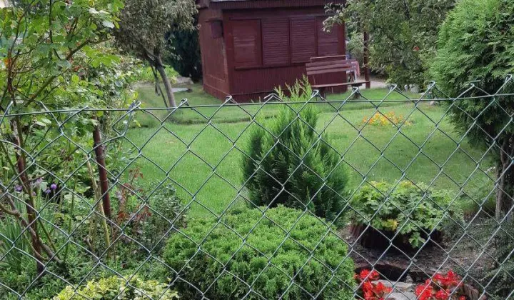 Działka rod Gdynia Mały Kack, ul. Witolda