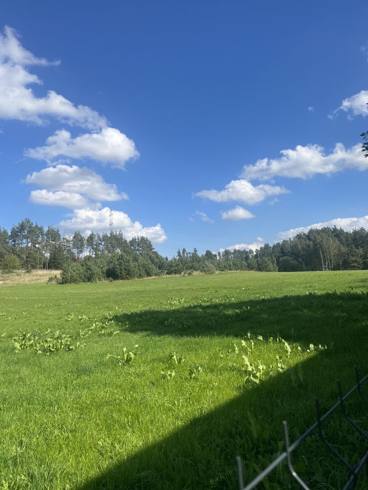 dom wolnostojący, 3 pokoje Drozdowo Drozdowo Dolne, ul. Dolna. Zdjęcie 4