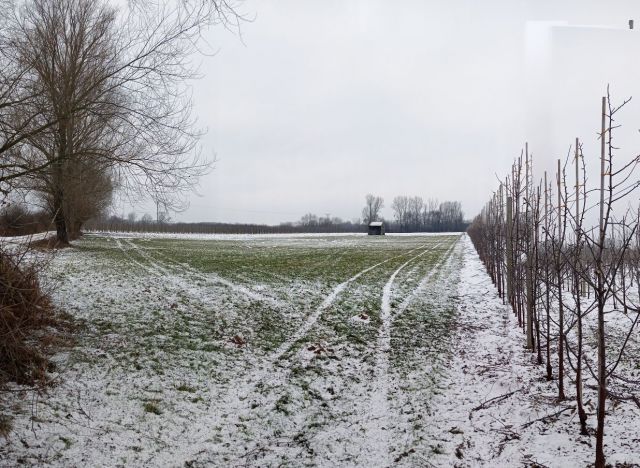 Działka rolna Wólka Tarnowska. Zdjęcie 1