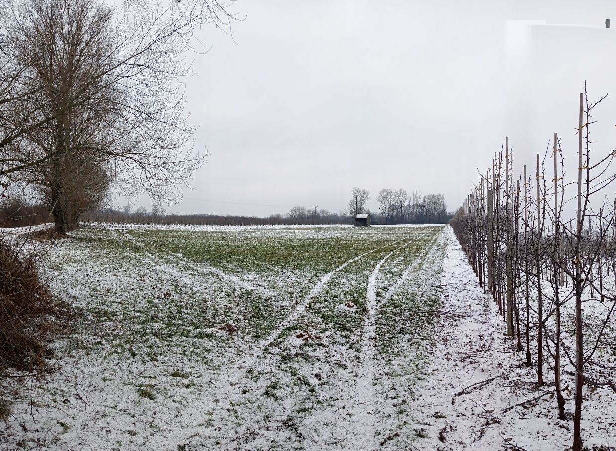 Działka rolna Wólka Tarnowska. Zdjęcie 1