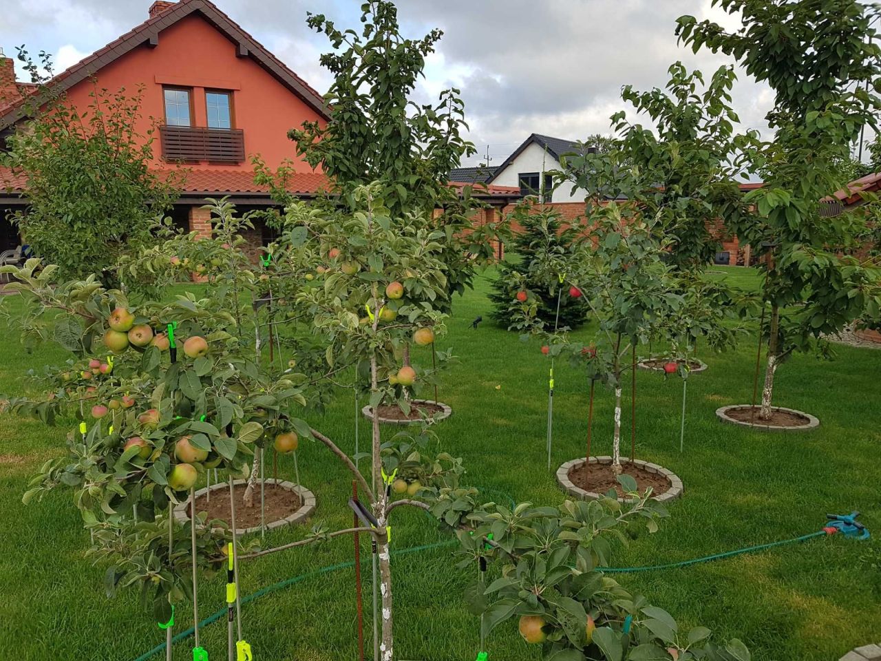 dom wolnostojący, 5 pokoi Karlino, ul. Leśna. Zdjęcie 8