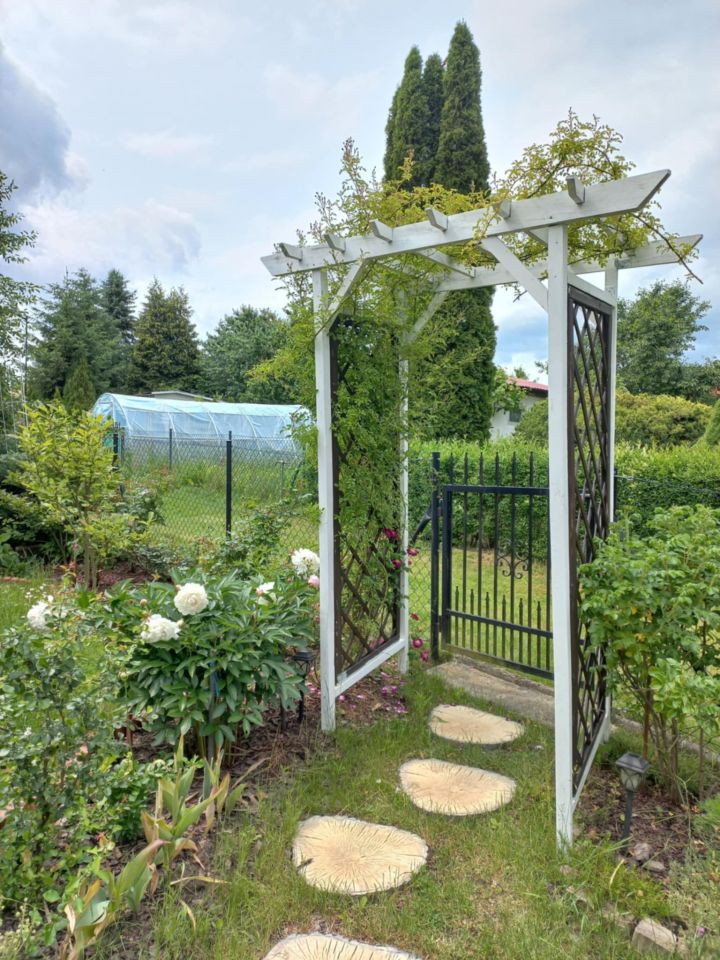 Działka rod Dys Bernatówka, ul. Bernatówka. Zdjęcie 27