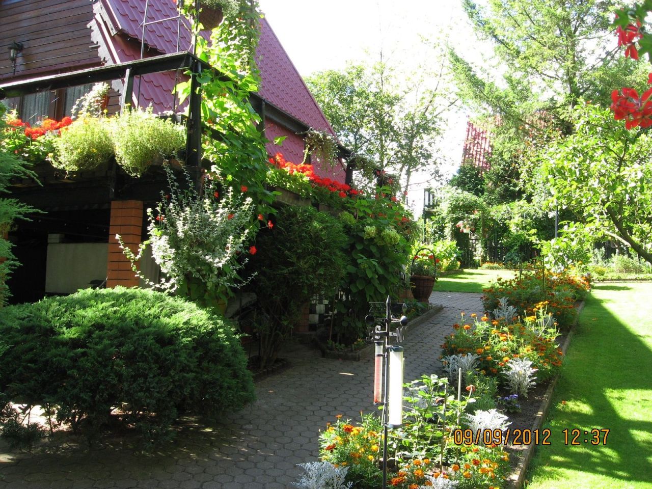 Działka rekreacyjna Sapunki. Zdjęcie 7