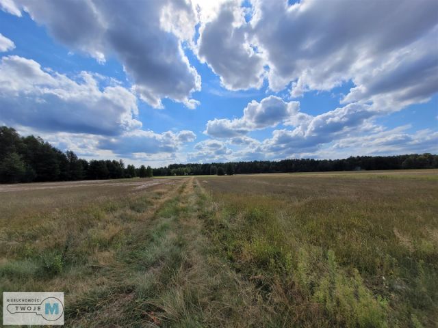 Działka rekreacyjna Stanowiska. Zdjęcie 8