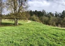 Działka rolna Zalec. Zdjęcie 2