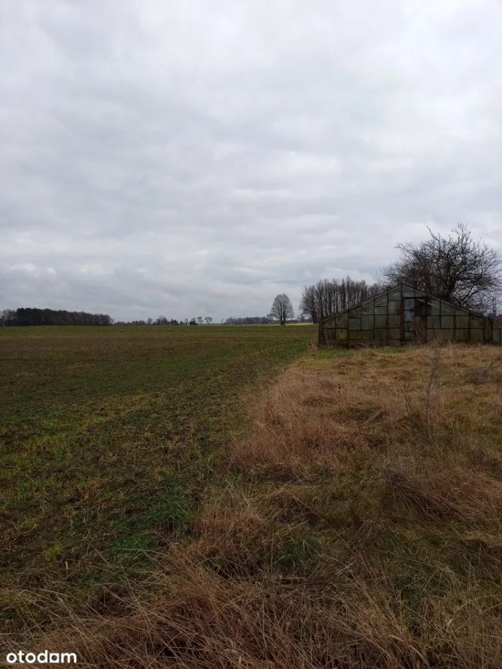 dom wolnostojący, 3 pokoje Dąbrówka. Zdjęcie 6