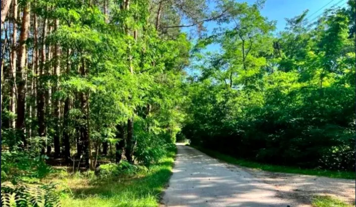 Działka budowlana Borzymów