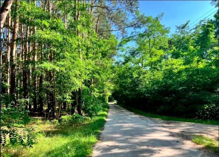 Działka budowlana Borzymów. Zdjęcie 1