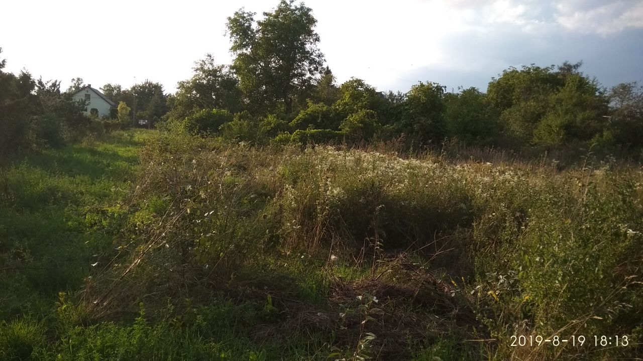 Działka budowlana Bolechowice Odpadki. Zdjęcie 4