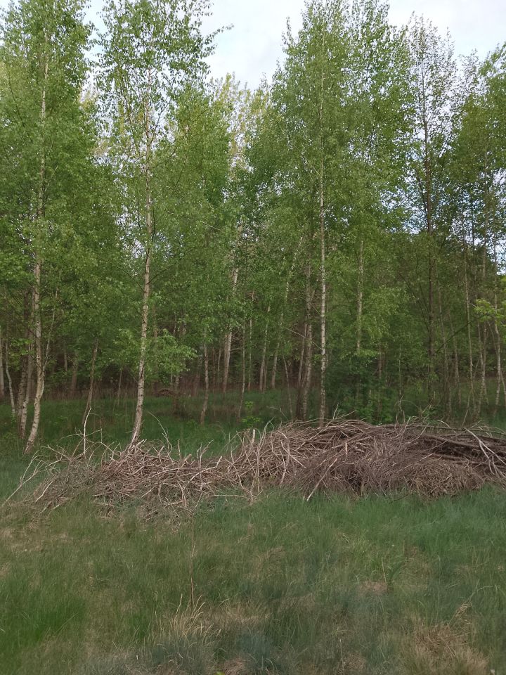 Działka rekreacyjna Adamówek, ul. Pańska. Zdjęcie 4