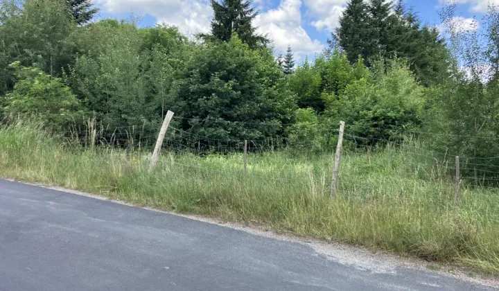 Działka rolno-budowlana Łozy