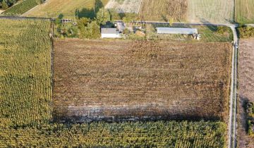 Działka rolno-budowlana Wygoda Smoszewska