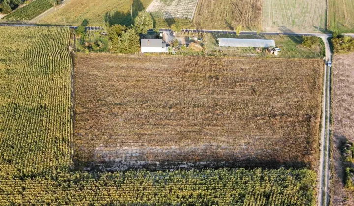 Działka rolno-budowlana Wygoda Smoszewska