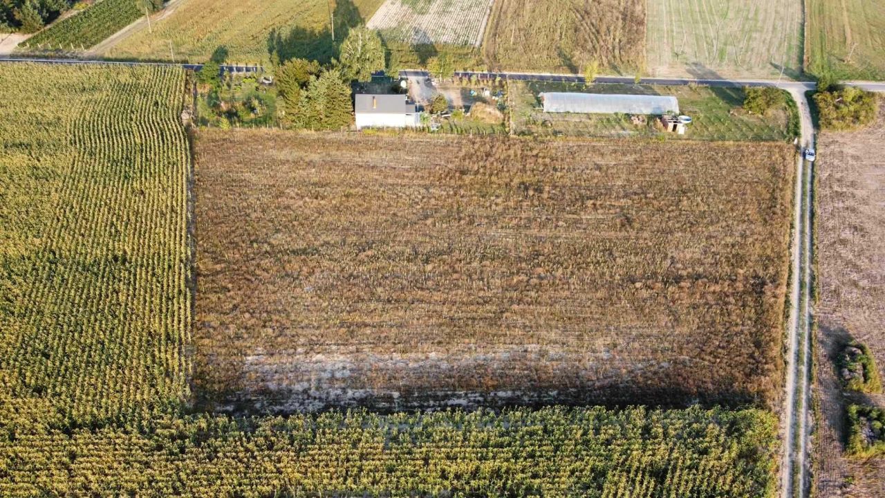 Działka rolno-budowlana Wygoda Smoszewska