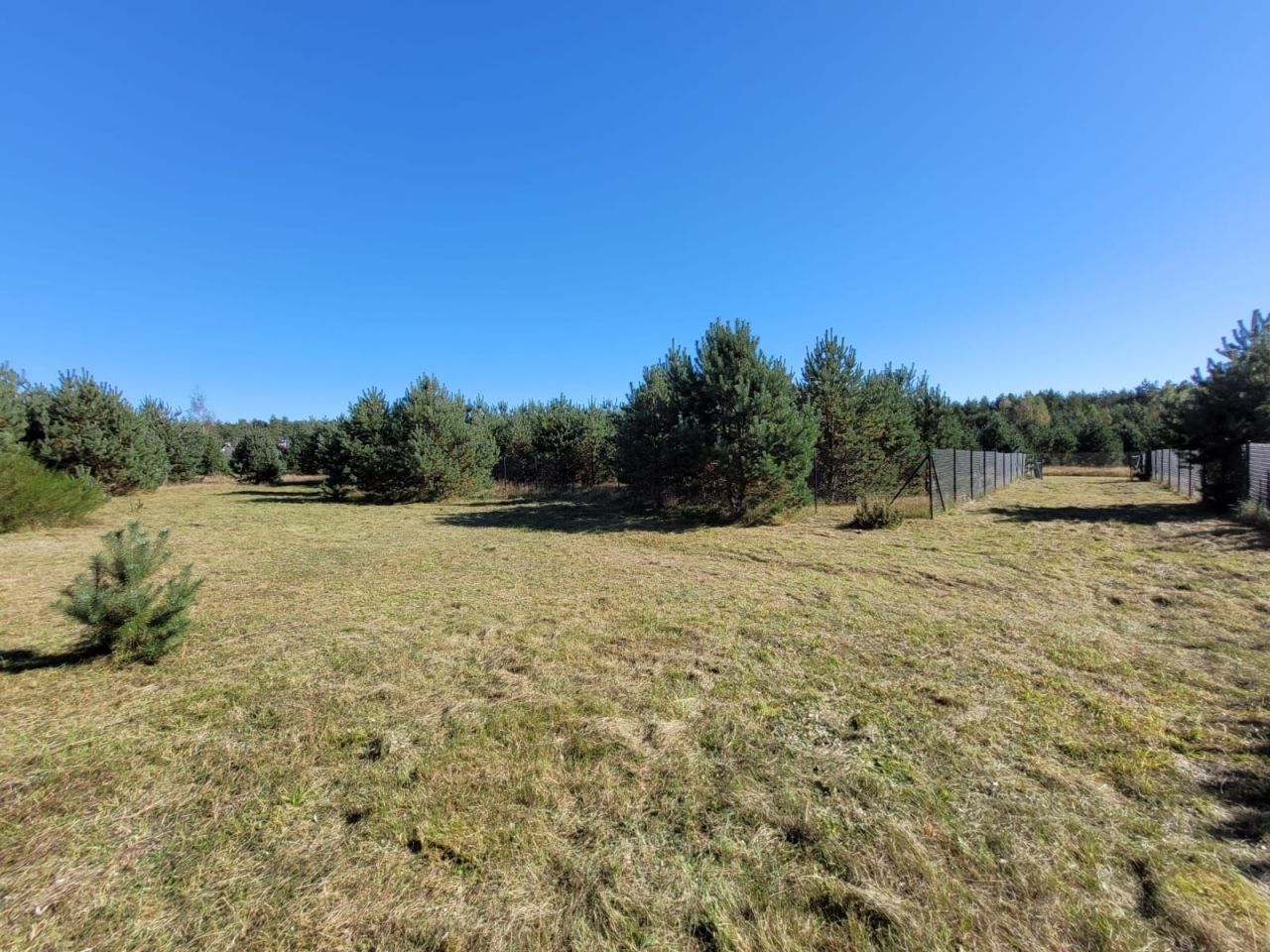 Działka budowlana Płociczno. Zdjęcie 1