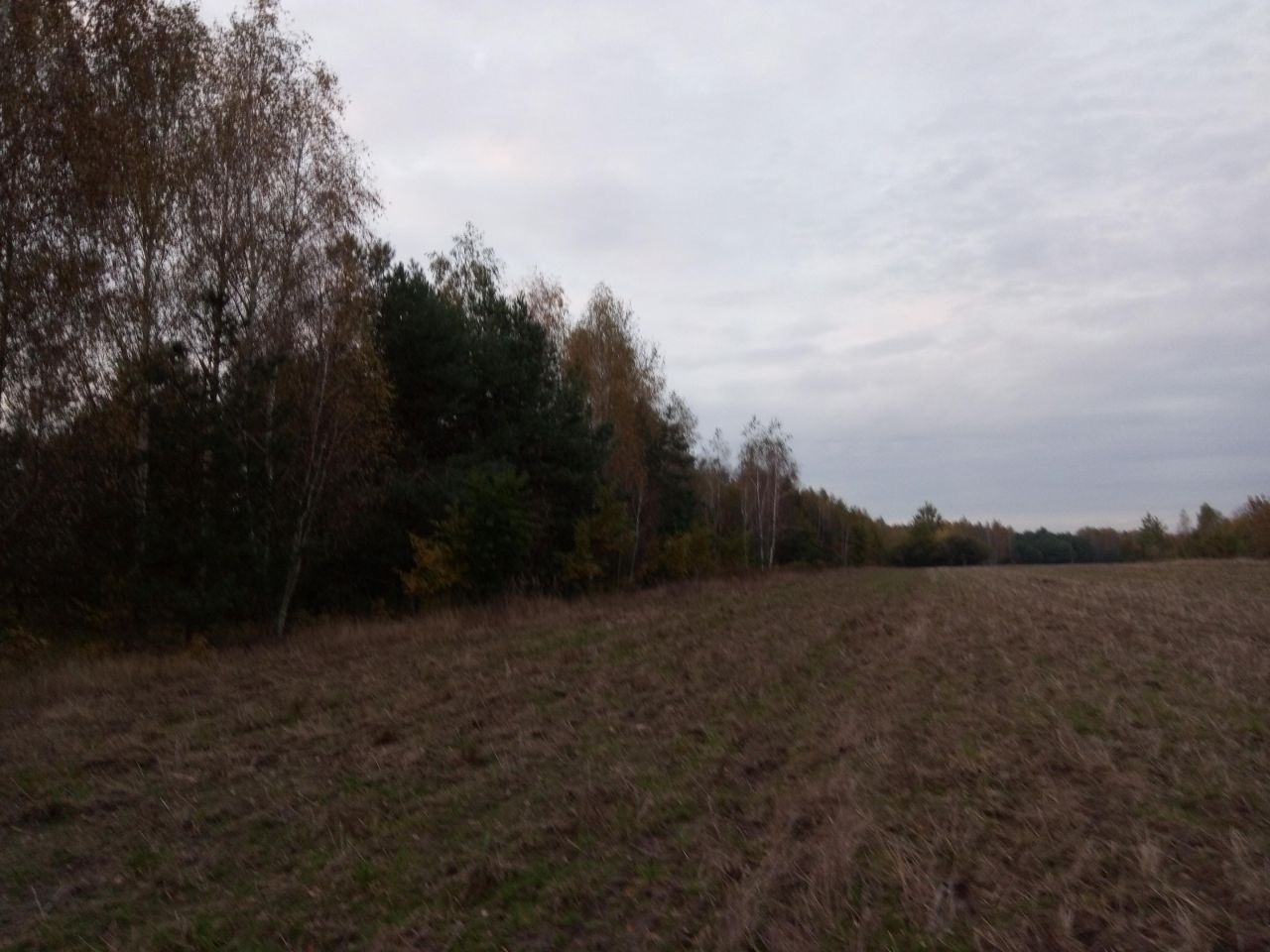 Działka rolno-budowlana Ławeczko Stare. Zdjęcie 15