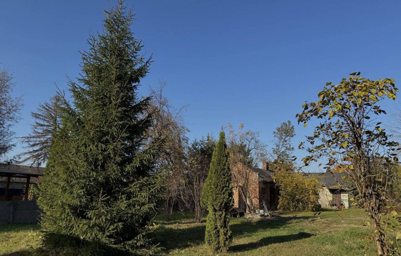 Działka siedliskowa Brzeziny, Brzeziny. Zdjęcie 6