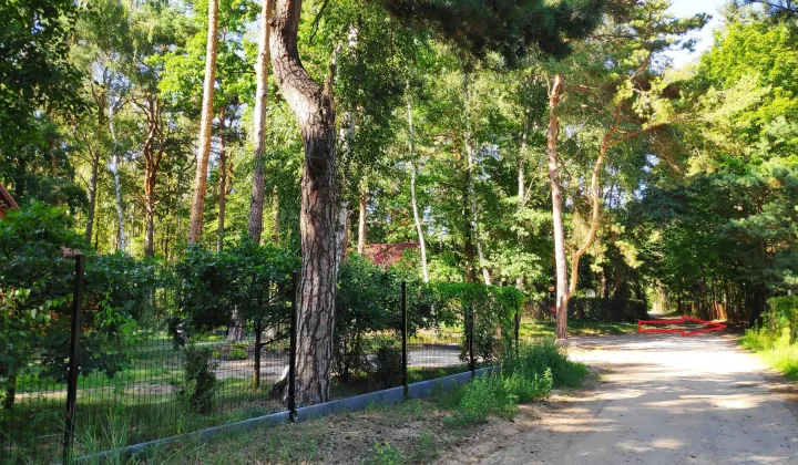 Działka budowlana Dąbrówka Wielka, ul. Leśna