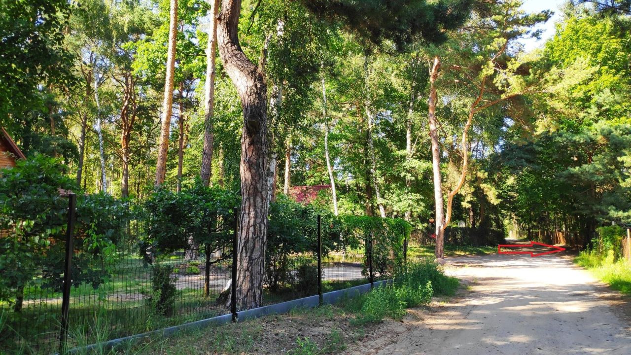 Działka budowlana Dąbrówka Wielka, ul. Leśna. Zdjęcie 9