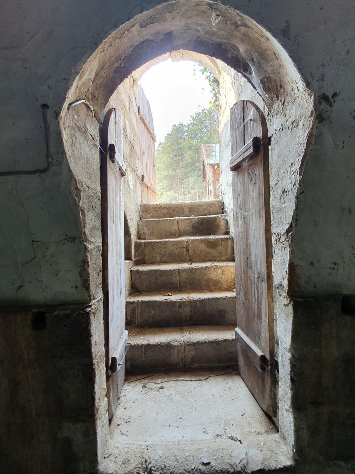 Działka siedliskowa Wola Władysławowska. Zdjęcie 17