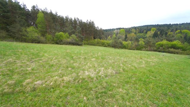 Działka rolna Kunkowa. Zdjęcie 3