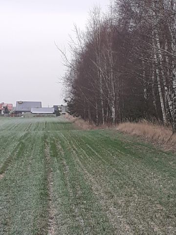 Działka rolna Tychów Stary. Zdjęcie 1