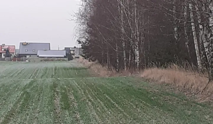 Działka rolna Tychów Stary