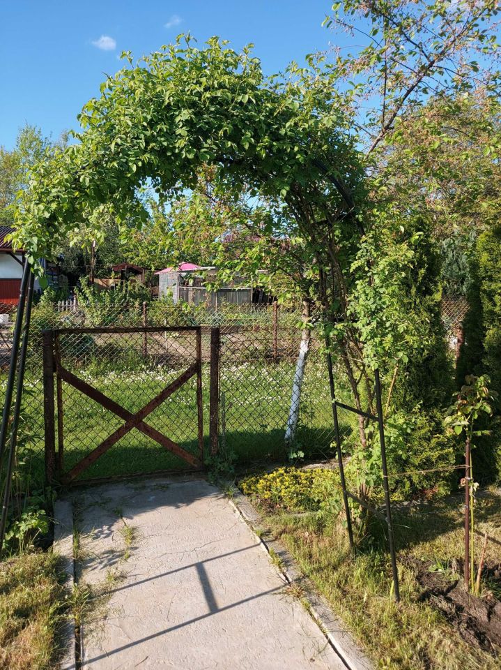 Działka rod Sosnowiec Klimontów, ul. Gabrieli Zapolskiej. Zdjęcie 8