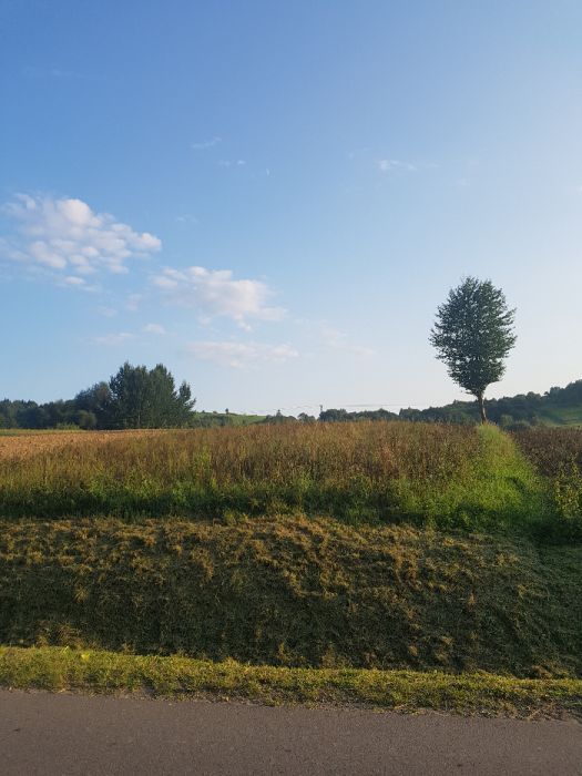 Działka rolno-budowlana Niebieszczany