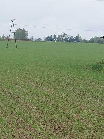 Działka rolno-budowlana Chociszewo. Zdjęcie 1