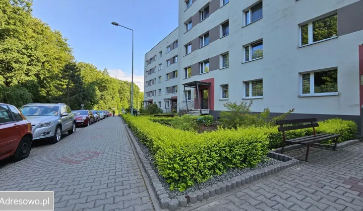 Mieszkanie 3-pokojowe Jastrzębie-Zdrój, ul. Janusza Kusocińskiego